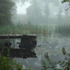 a dock in the middle of a pond with water lillies and grass around it