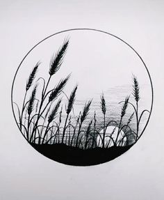 a black and white drawing of grass in a circle on a paper with the sky in the background