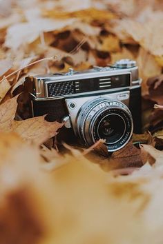 an old camera sitting on top of leaves