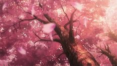 a pink tree with lots of leaves in the air and light coming from it's branches