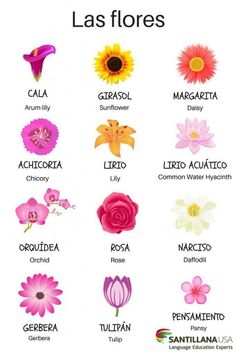 an image of flowers with the words las floress written in spanish and english on them