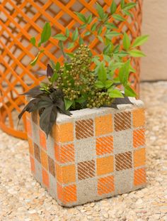 an orange and grey planter with green plants in it