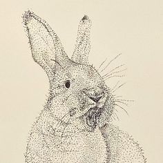 a drawing of a rabbit with dots all over it