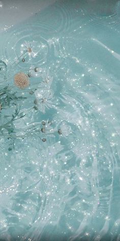 flowers floating in the water with bubbles on it's surface, and one flower sticking out of the water