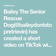 the words bailey the senior rescue dog @ / balleydontso pretrivin has created a short video on tik tok wi