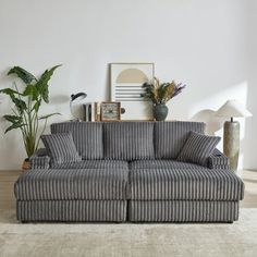 a living room with two couches and some plants on the side table in front of it