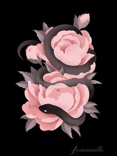 some pink flowers on a black background