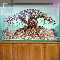 a bonsai tree in an aquarium with rocks and gravel underneath it on a wooden cabinet