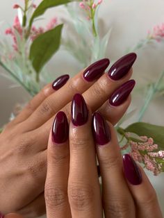 Plum Red Nails, Cherry Almond Nails, Plum Nails, Nagel Tips, October Nails, Cherry Almond, Funky Nails