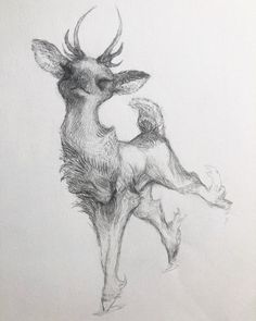 a pencil drawing of a deer standing on its hind legs