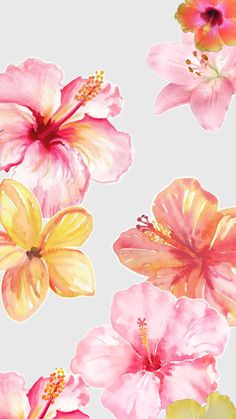 pink and yellow flowers on a white background