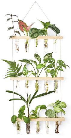 a wall hanging planter filled with lots of green plants