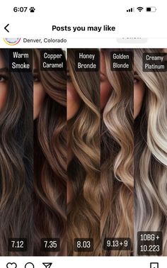 Ledies Hairstyle Balayage Hair Tones Chart, What Hair Color Looks Good On Tan Skin, Half Balayage Hair, Balayage Hair Brunette With Blonde Medium Lengths, Dark To Strawberry Blonde, Hair Color Inspo For Brunettes, Chocolate Hair Color With Money Piece, Difference Between Balayage And Ombre, Carmel Beige Hair