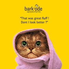 a cat in a towel with the caption barkrode that was great fluff don't i look better?