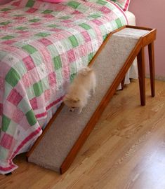 a small white dog standing in front of a bed