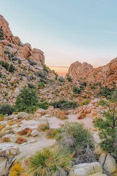 the sun is setting on some rocks and plants in the desert with mountains in the background