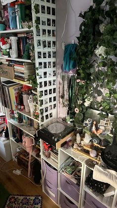 a room filled with lots of clutter and plants