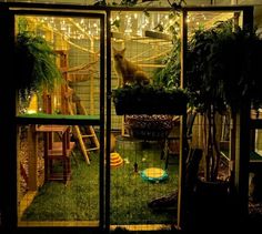 a cat in a cage with plants and lights on it's windows sill