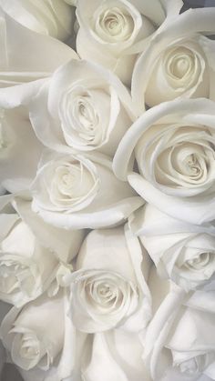 a bouquet of white roses is shown close up