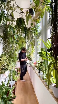 a man is standing in front of some potted plants