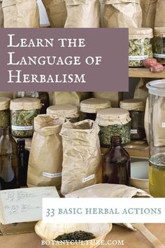 Herbalism is a language! And a key part of that language is being able to communicate how herbs work. Herbal actions are categories of herbal behaviors that do just that! Here's a list of over 30 basic herbal actions to help you in confidently choosing the right herbs for the right jobs. #herbalmedicine #herbalism #herbalactions #healthandwellness Herbal Actions, Herbal Education, Diy Herbal Remedies, Medicinal Herbs Garden, Medical Herbs, Herbal Tinctures, Herbal Recipes, Herbal Apothecary