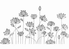 black and white drawing of flowers on a white background with the words,'water lilies '