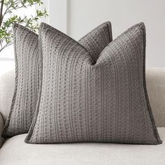 two gray pillows sitting on top of a couch next to a potted green plant