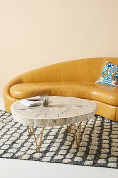 a living room with a couch, coffee table and potted plant on the rug