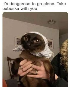 a woman holding a cat wearing a bandana on top of it's head