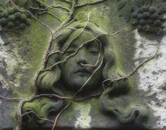 a stone face with vines growing out of it