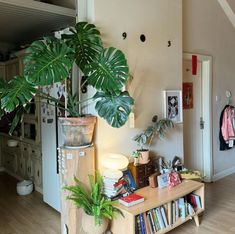 a living room filled with lots of plants and books on top of a wooden table