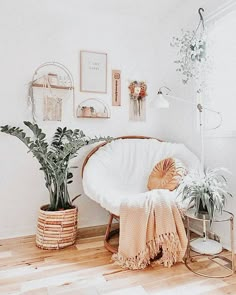 a living room with plants and pictures on the wall