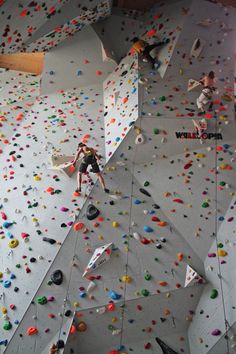 two people climbing up the side of a wall with colorful rocks and ropes on it