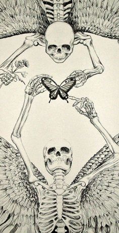 a drawing of two skeletons with wings and a butterfly