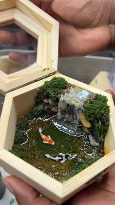 two hands holding a small wooden box with a koi fish in it and moss growing inside