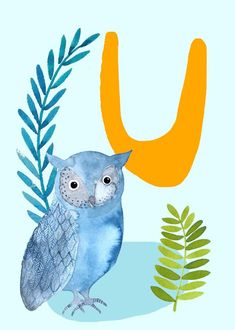 the letter u is for owl with an owl on it's head and leaves around its neck