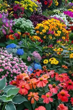 many different colored flowers in a garden