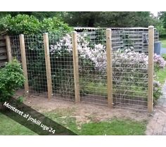 the fence is made of wood and wire with white flowers growing on it's sides