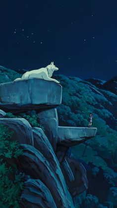 a man standing on top of a cliff next to a white dog in the sky