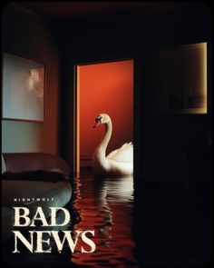 a white swan floating on top of water next to a red wall with the words bad news above it