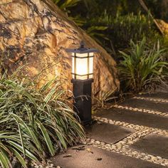 a light that is on some kind of stone path next to plants and rocks in the background