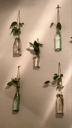 several glass bottles with plants in them hanging on the wall, one has a planter attached to it