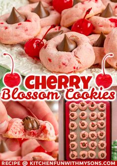 cherry blossom cookies with chocolate frosting and cherries in the middle are being eaten