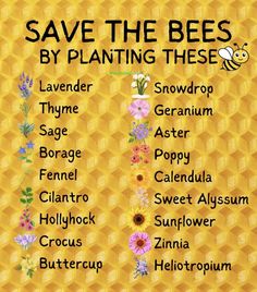 a bee themed poster with the words save the bees by planting these on it