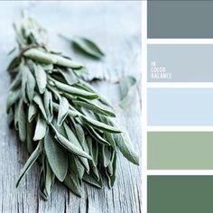 Apartment Color Schemes, Crib Ideas, Dnevna Soba, Electromagnetic Spectrum, Grey Color Palette, Grey Color Scheme, Trendy Living Rooms, Room Color Schemes, Pastel Palette