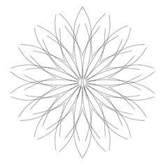 a flower that is drawn in the shape of a star, with lines on it