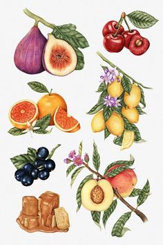 an illustration of various fruits and vegetables on a white background