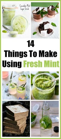 14 Things To Make Using Fresh Mint - Mint is one of the easiest plants to grow! Today I'm sharing 14 creative ways to use fresh mint. How to store fresh mint, what to do with fresh mint, mint leaves, mint recipes, benefits of mint, herbs, mint beauty recipes Using Fresh Mint, Mint Recipes Fresh, Easiest Plants To Grow, Mint Sugar Scrub, Fresh Herb Recipes, Mint Herb, Mint Plants, Mint Recipes, Herb Recipes