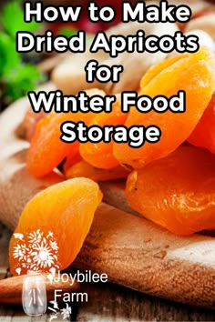 how to make dried apricots for winter food storage