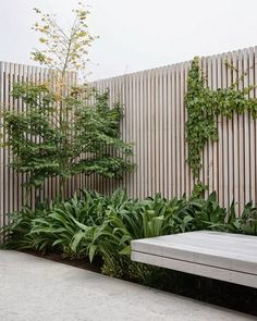 a wooden bench sitting in the middle of a garden next to a wall with plants on it